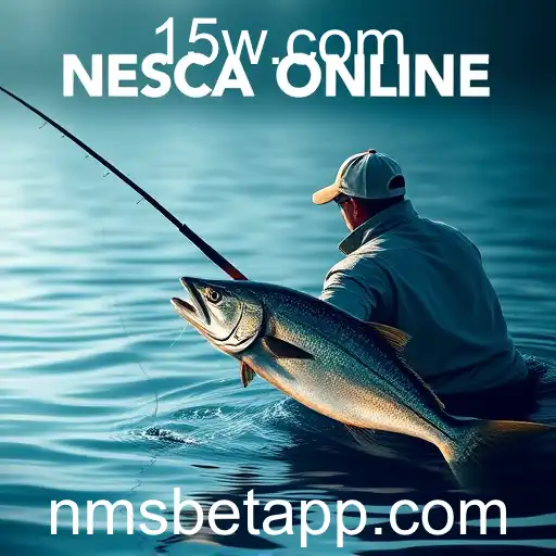 Gaming Experience NMSBET - 800+ Premium and Exclusive Games